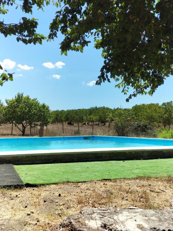 Rod Ranch Livestock - Appartamento Con Camino E Vista Piscina Campagnano Di Roma Exterior photo